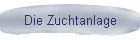 Die Zuchtanlage
